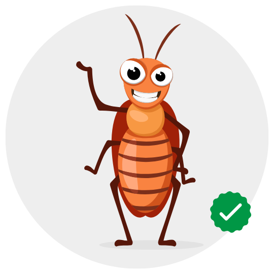 cockroach control by Khema Pest Control