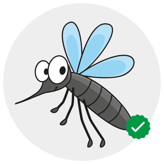 mosquito control by Khema Pest Control