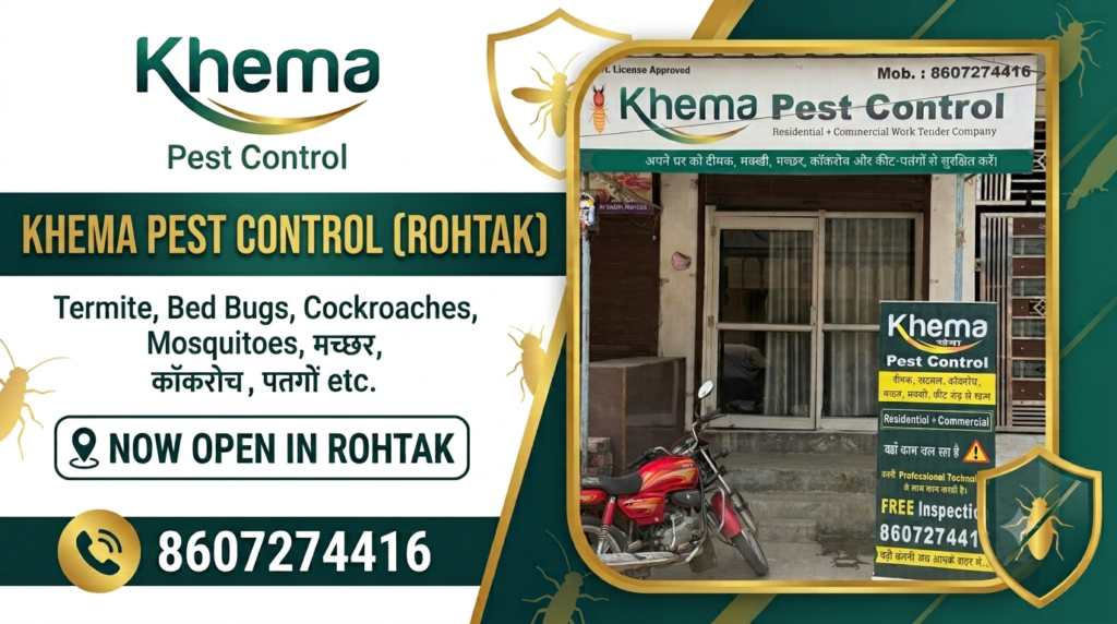 Termite Control