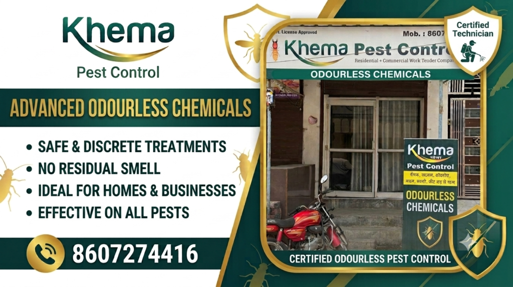 Odourless Chemicals