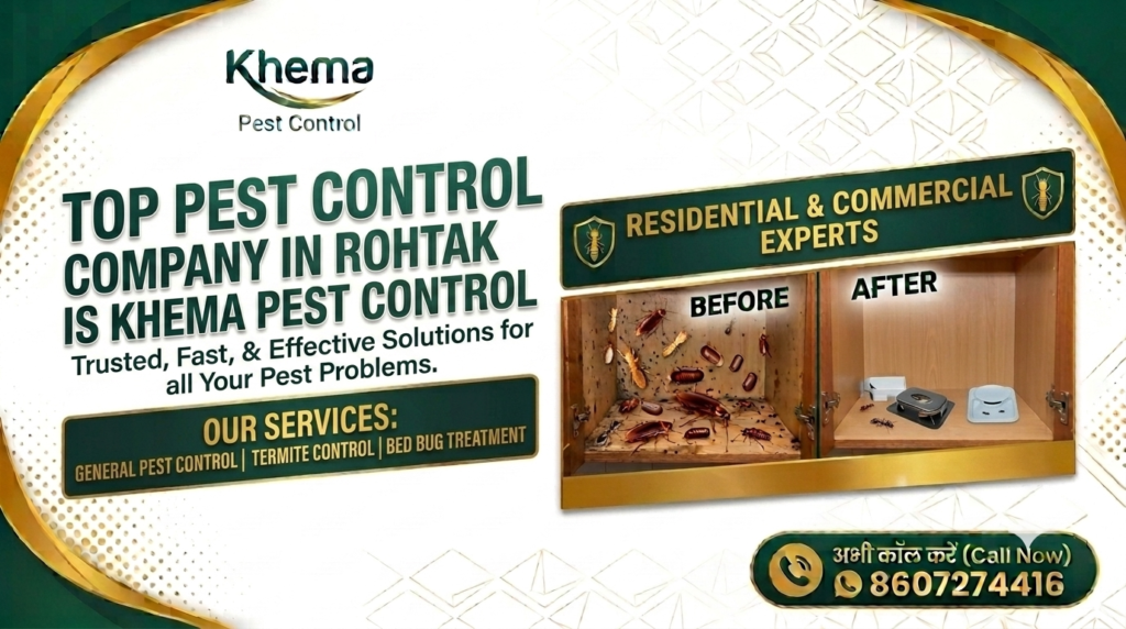 Top Pest Control Company in Rohtak