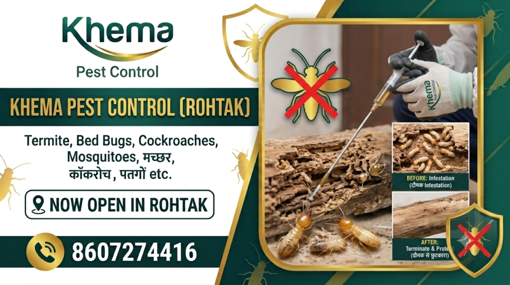 Termite Expert