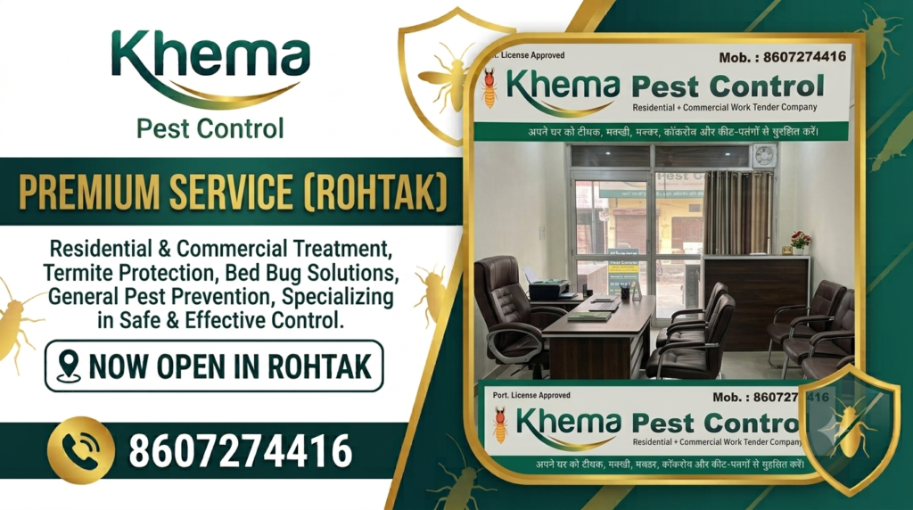 Termite Control