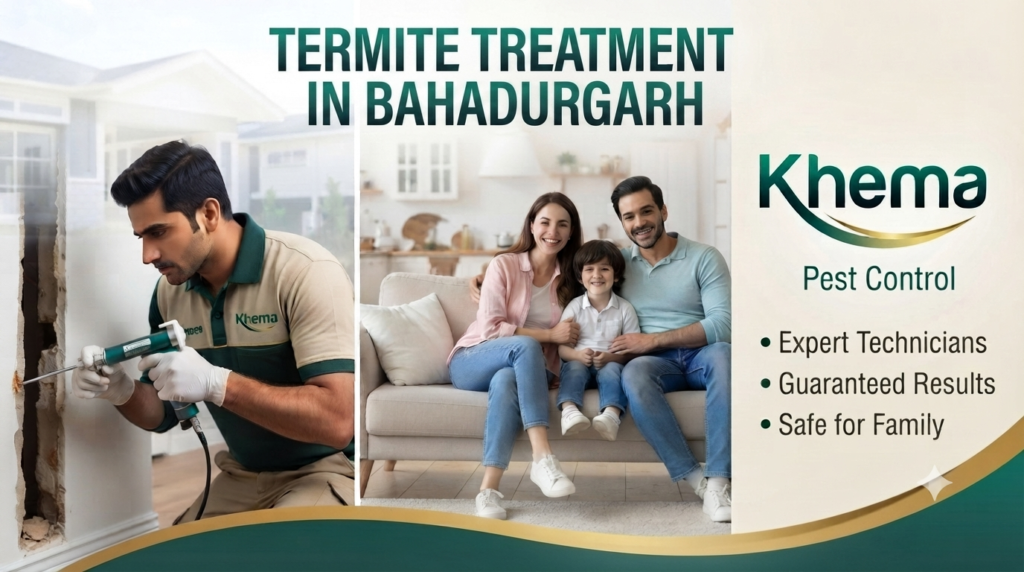 Termite Treatment in Bahadurgarh