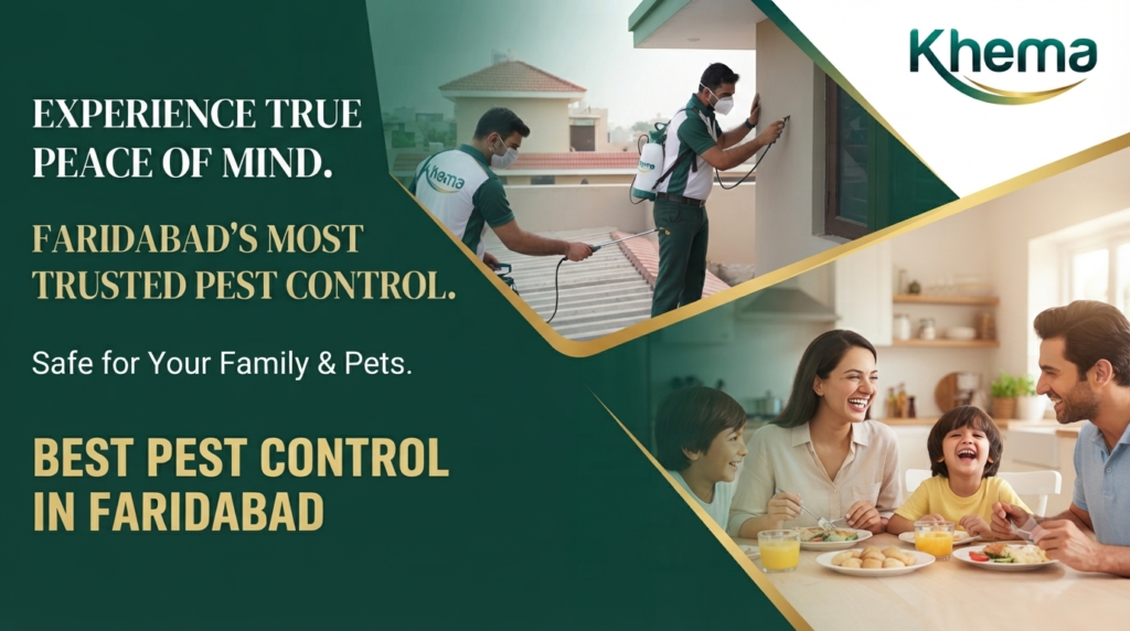 Best Pest Control in Faridabad