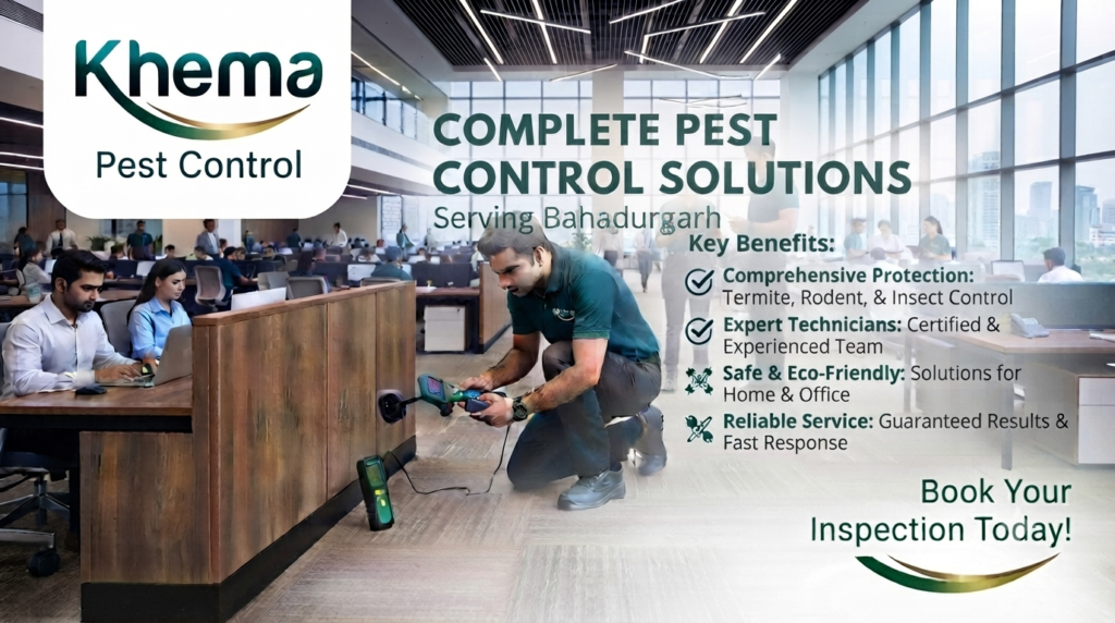 Termite Treatment in Bahadurgarh