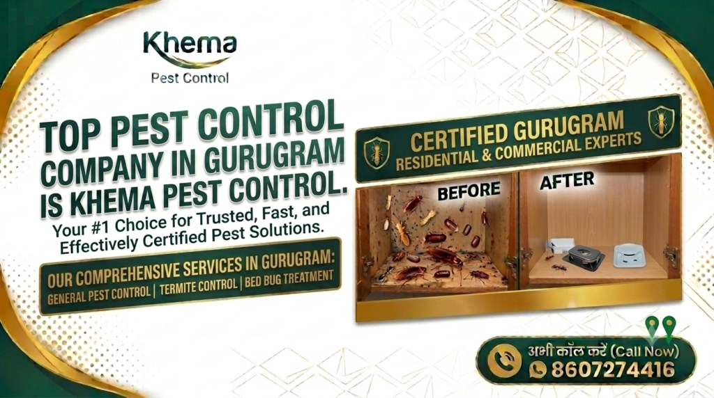 Top Pest Control Company in Gurugram