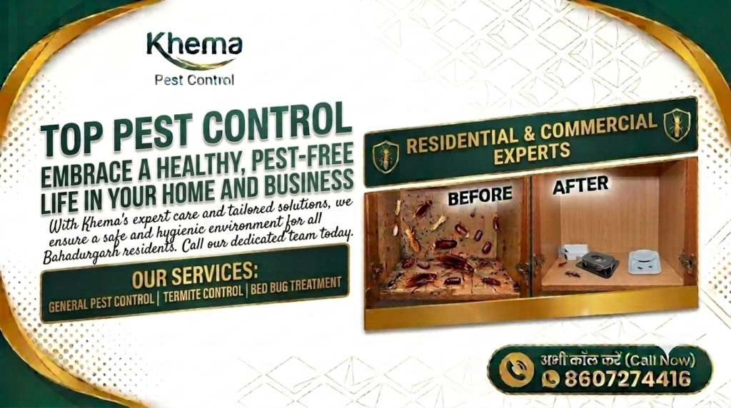 Top Pest Control Company In Bahadurgarh