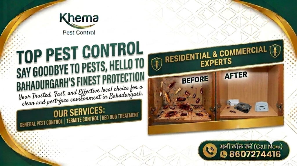 Top Pest Control Company in Bahadurgarh