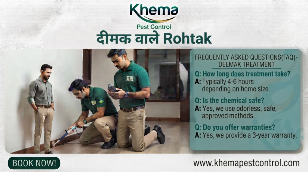 दीमक वाले Rohtak