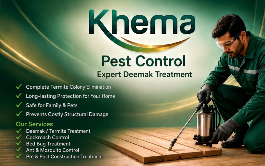 Expert Deemak Treatment in Rohtak – Khema Company